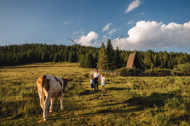 Wandern auf der Weinebene
